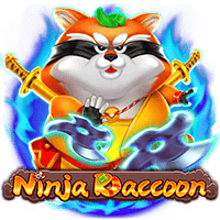 Ninja raccoon